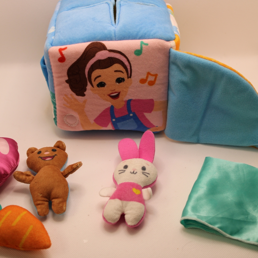Ms. Rachel Official Surprise Learning Box